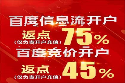 搜索引擎关键词竞价排名的策略调整与案例